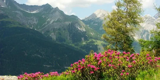 Wandern-und-ausgelassen-sein-
